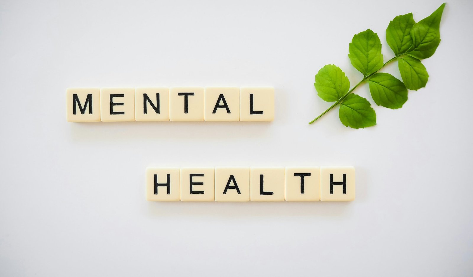 Transform Your Life: Mental Health Habits That Make a Difference