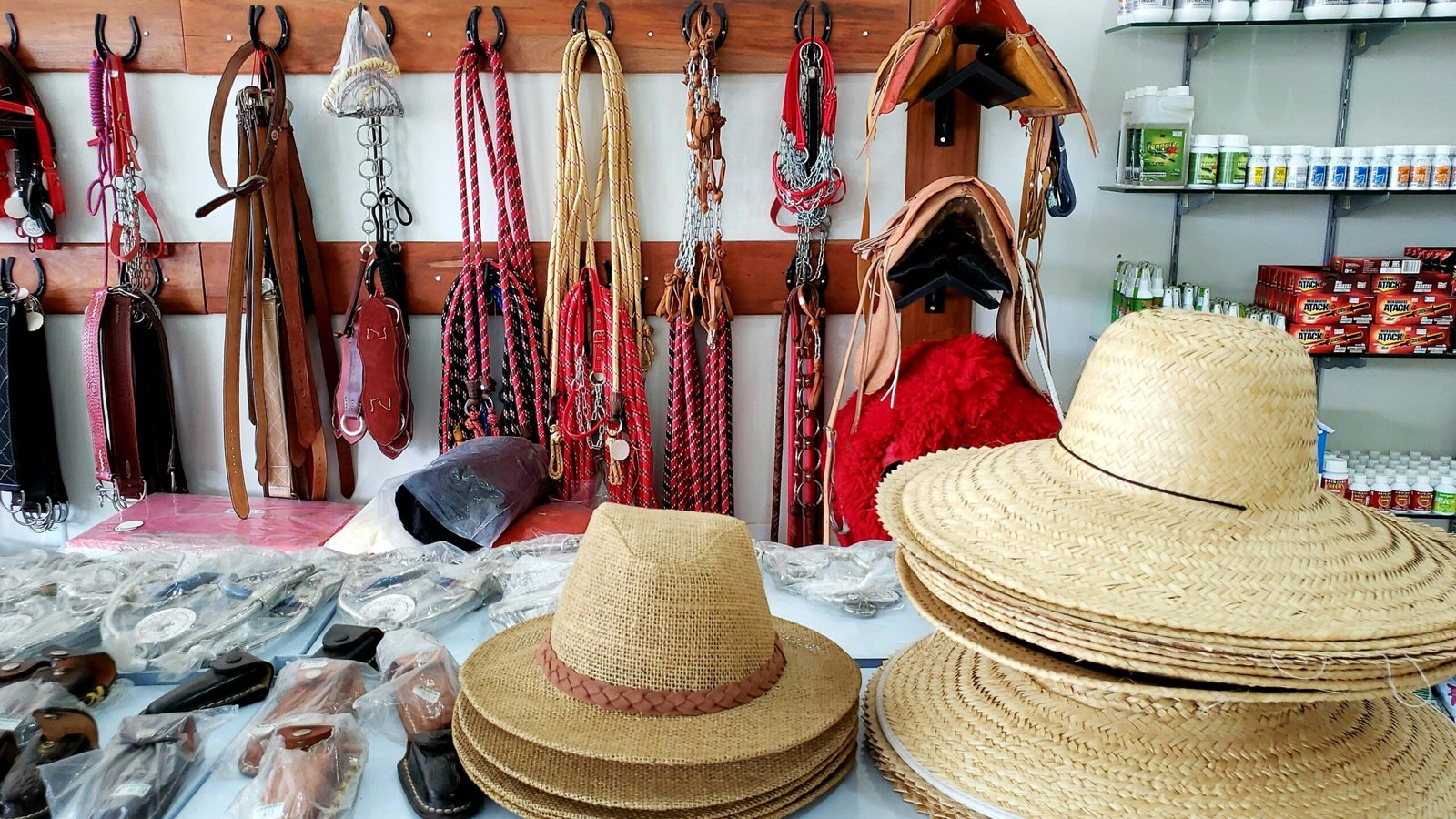 Exploring Western Style: Tack, Fashion, and Trends